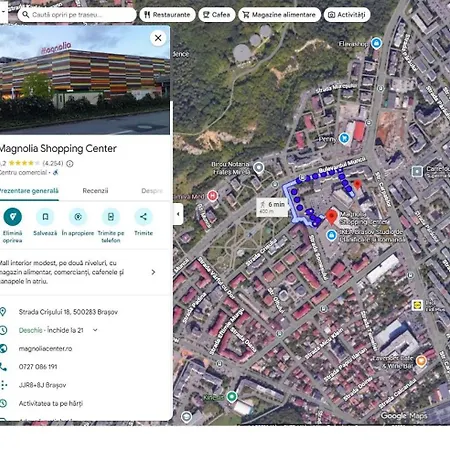 Bright & Quiet Mountain - Private Parking * Brasov